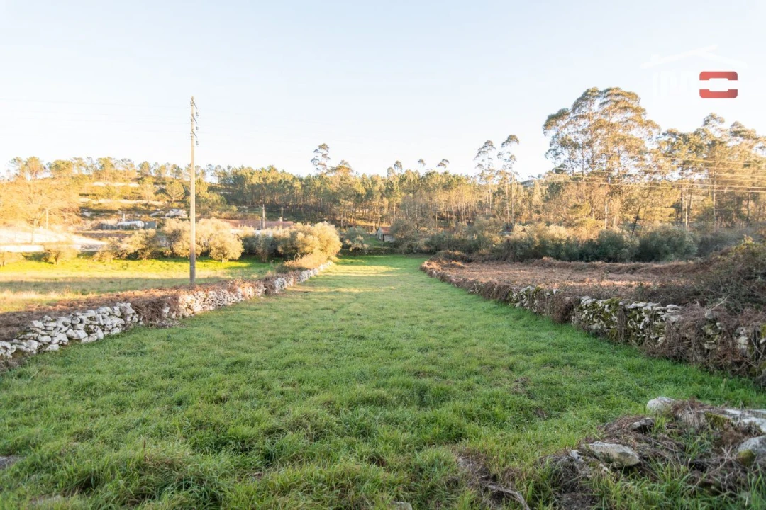 Terreno Agricola ou Rústico para Venda em São Mamede Foto 1