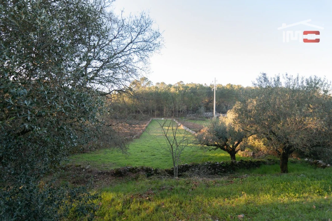 Terreno Agricola ou Rústico para Venda em São Mamede Foto 5