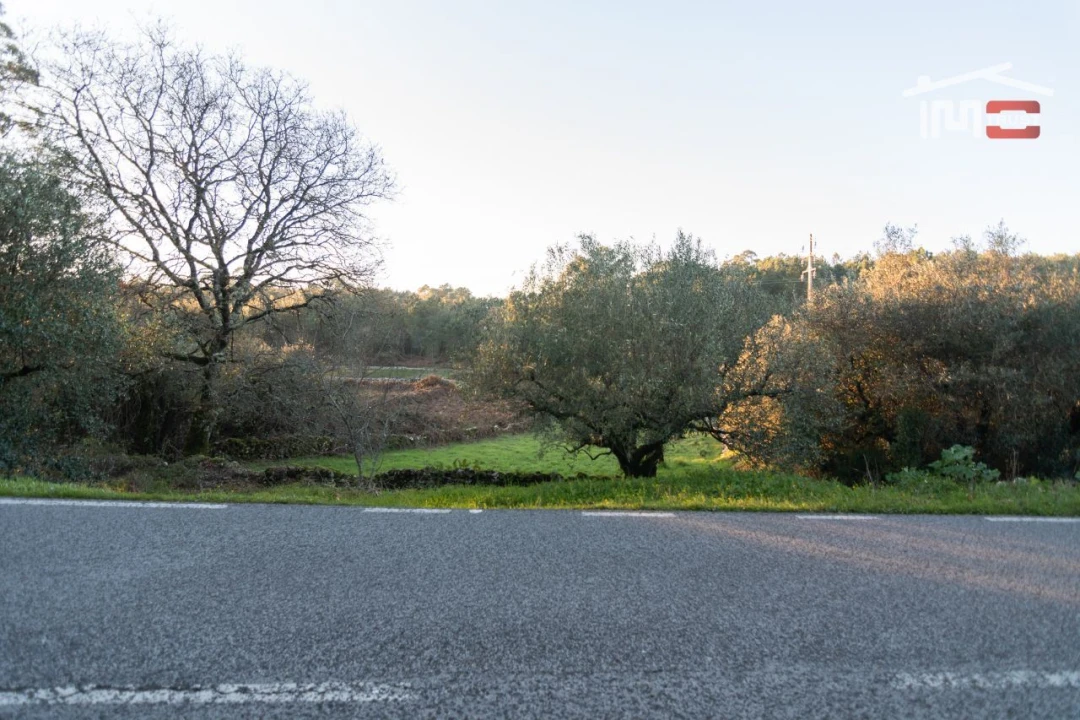 Terreno Agricola ou Rústico para Venda em São Mamede Foto 7