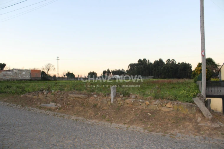 Terreno Agricola ou Rústico para Venda em Arcozelo Foto 2