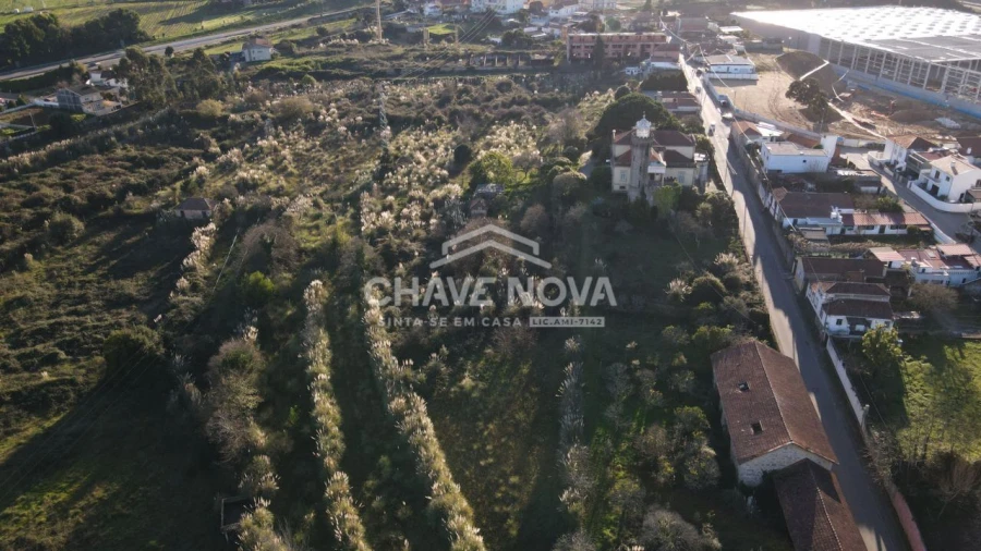 Quinta T7 para Venda em Arcozelo Foto 6