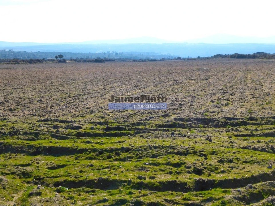 Terreno Agricola ou Rústico para Venda em Escalhão Foto 3