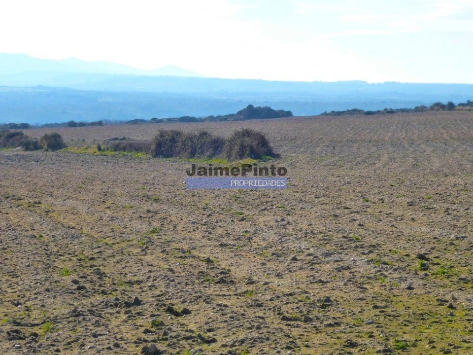 Terreno Agricola ou Rústico para Venda em Escalhão Foto 4