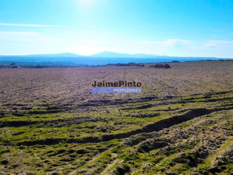 Terreno Agricola ou Rústico para Venda em Escalhão Foto 1