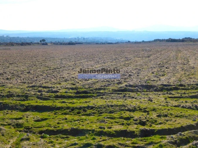 Terreno Agricola ou Rústico para Venda em Escalhão Foto 3