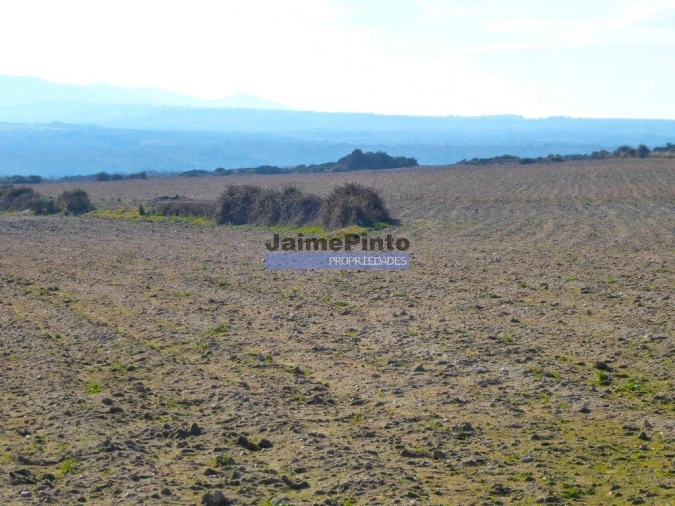 Terreno Agricola ou Rústico para Venda em Escalhão Foto 4
