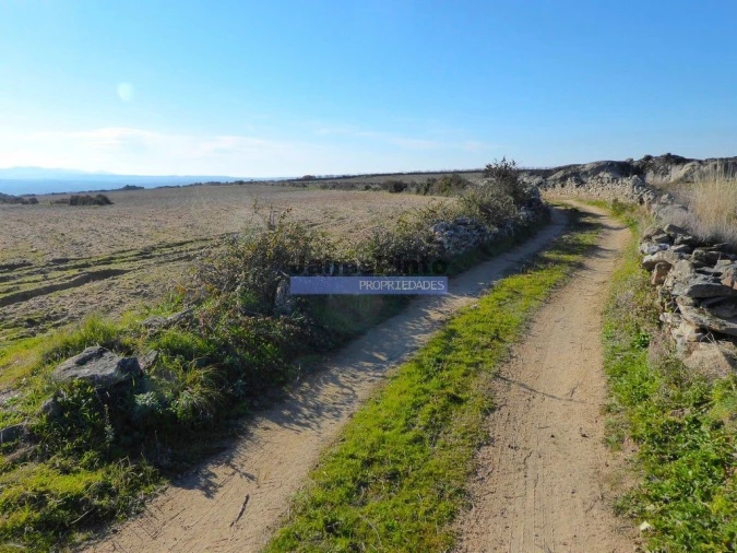 Terreno Agricola ou Rústico para Venda em Escalhão Foto 6