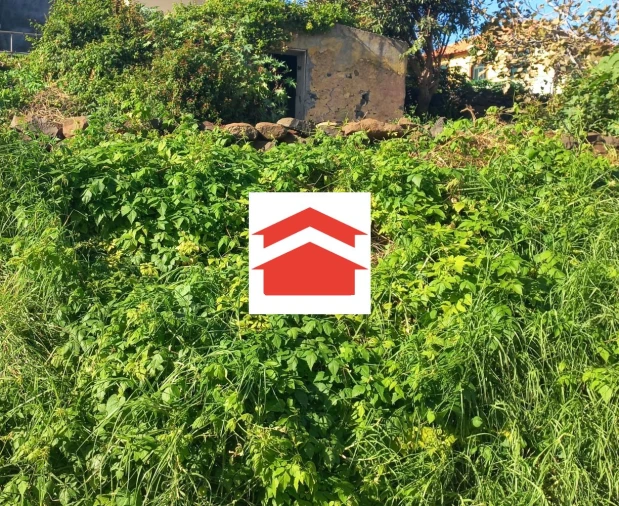 Moradia T2 para Venda em Gaula Foto 7