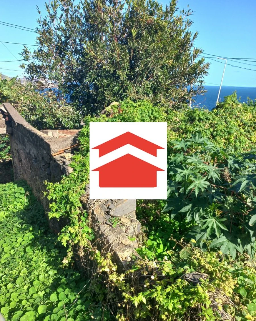 Moradia T2 para Venda em Gaula Foto 5