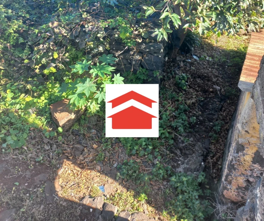 Moradia T2 para Venda em Gaula Foto 3