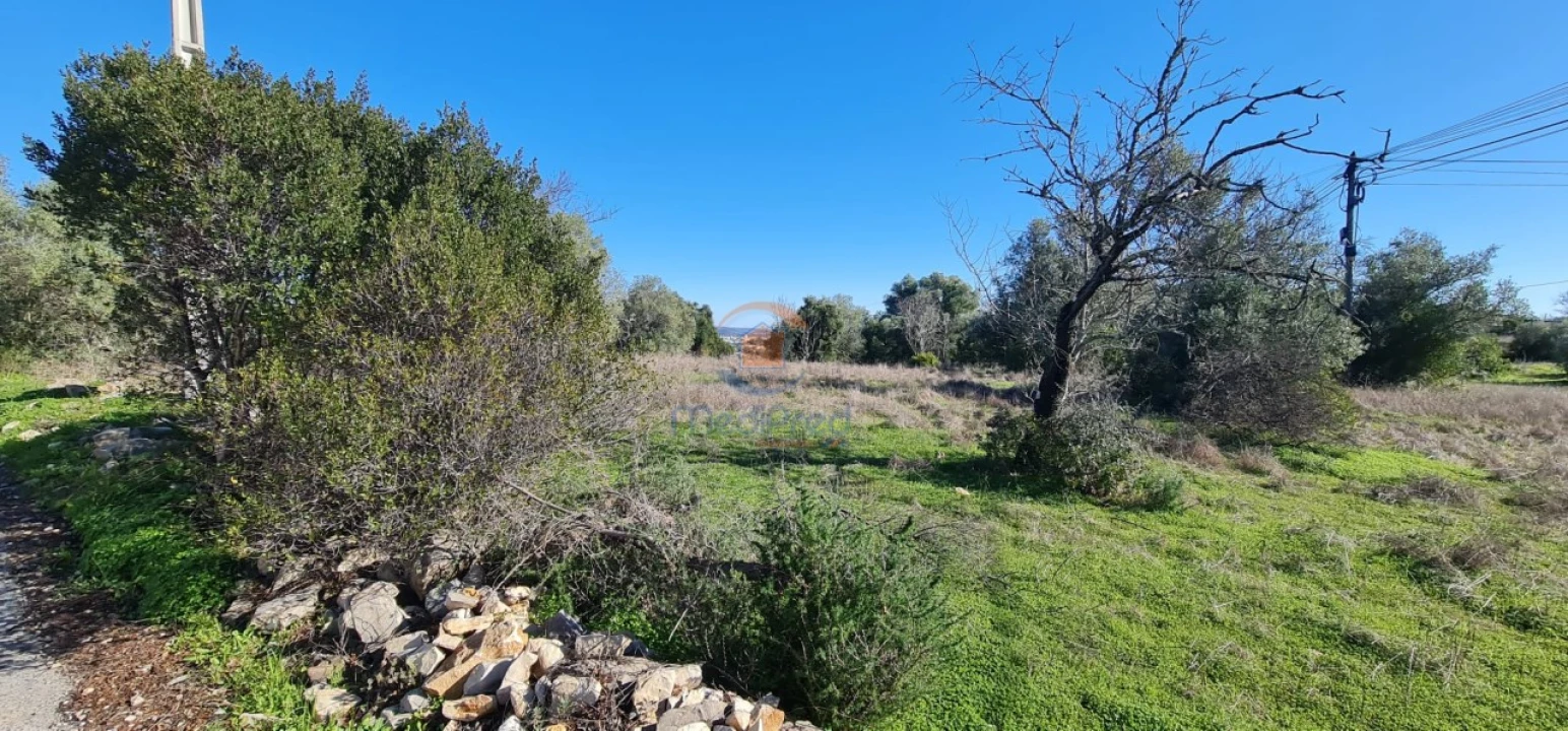 Terreno para Venda em São Brás de Alportel Foto 2