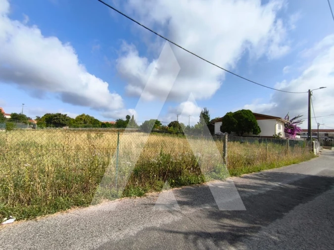 Terreno para Venda em Oiã Foto 1