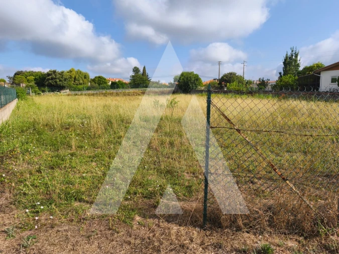 Terreno para Venda em Oiã Foto 3