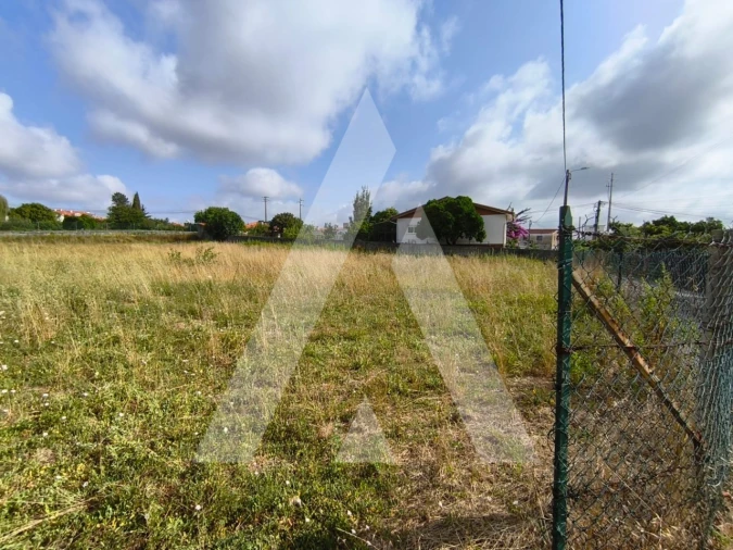 Terreno para Venda em Oiã Foto 4