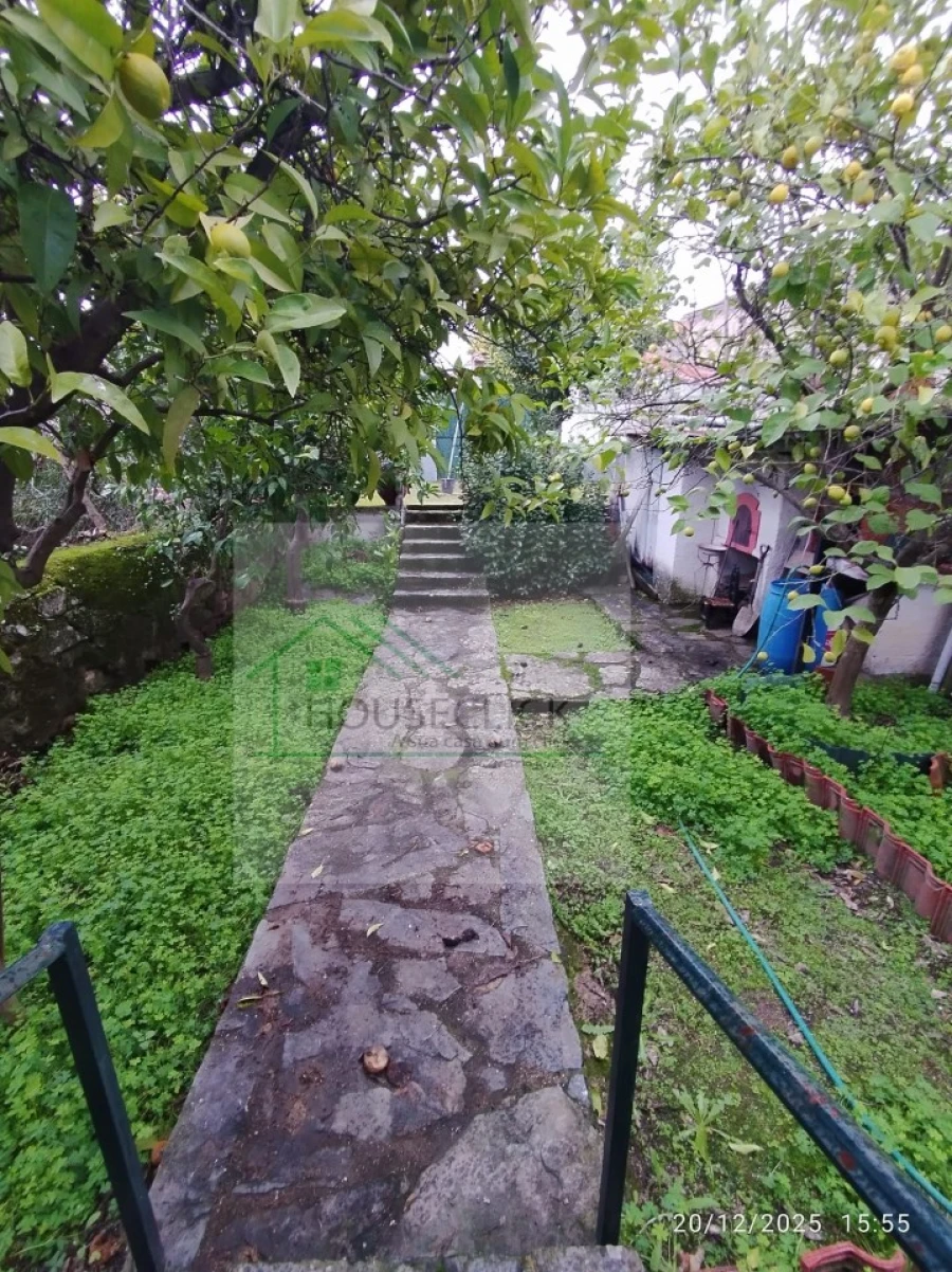 Moradia T4 para Venda em Monfortinho e Salvaterra do Extremo Foto 30