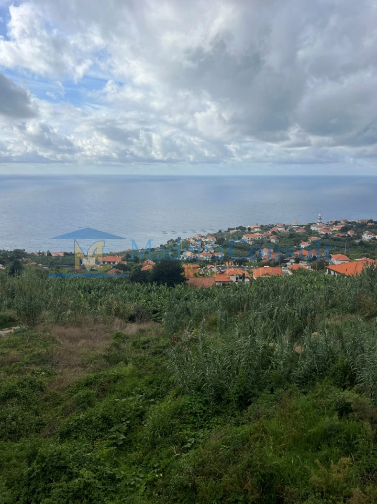 Terreno para Venda em Arco da Calheta Foto 4