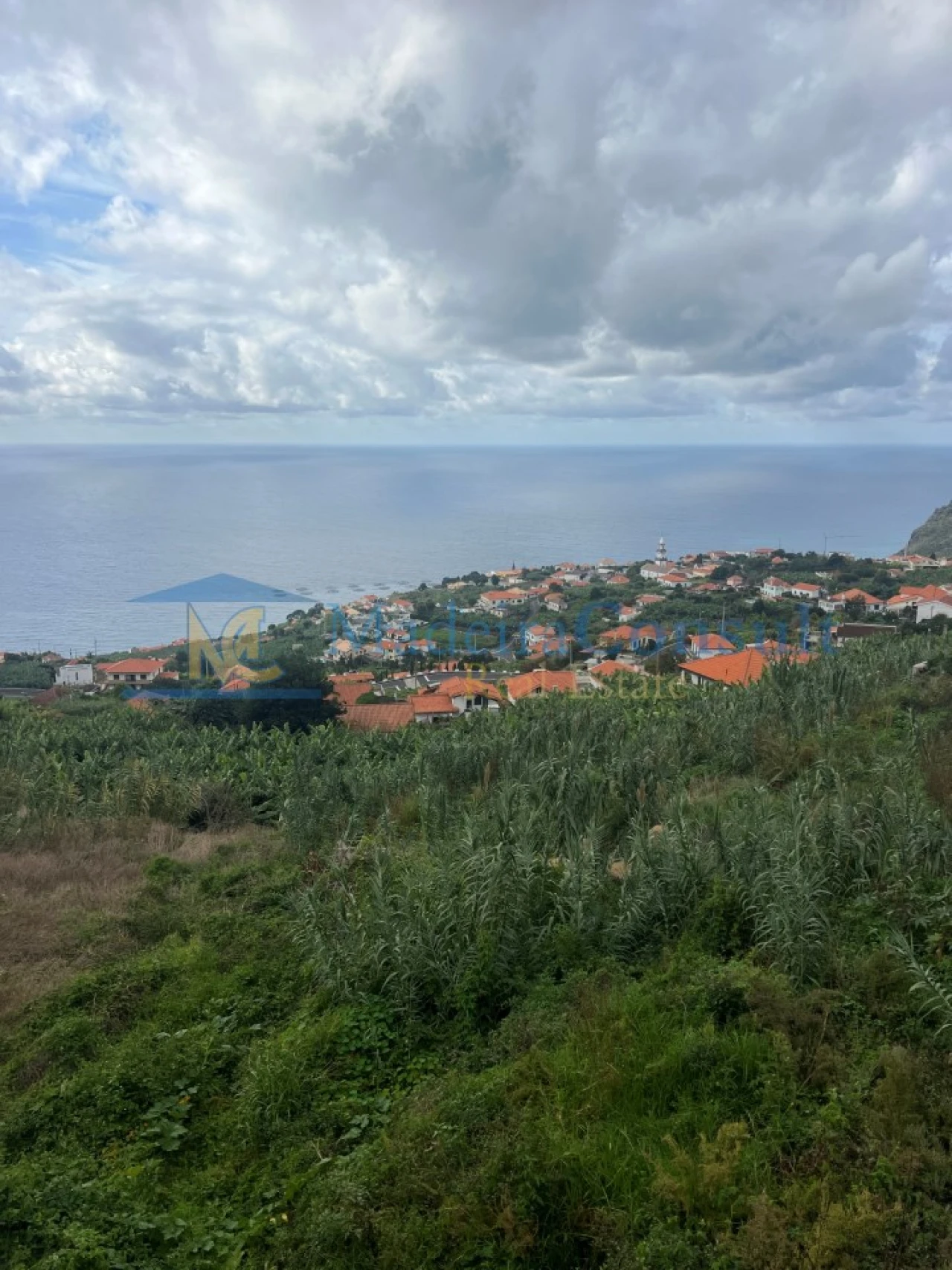 Terreno para Venda em Arco da Calheta Foto 5