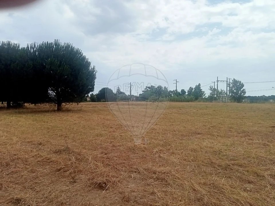 Terreno para Venda em Cartaxo e Vale da Pinta Foto 3