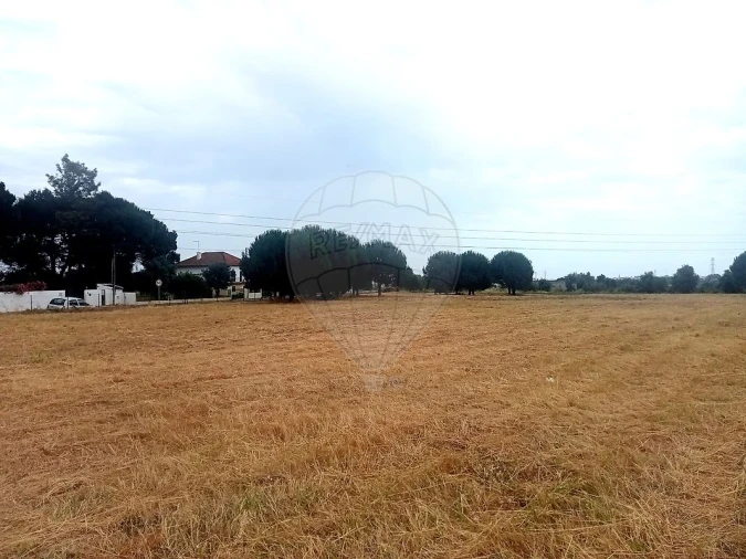 Terreno para Venda em Cartaxo e Vale da Pinta Foto 6