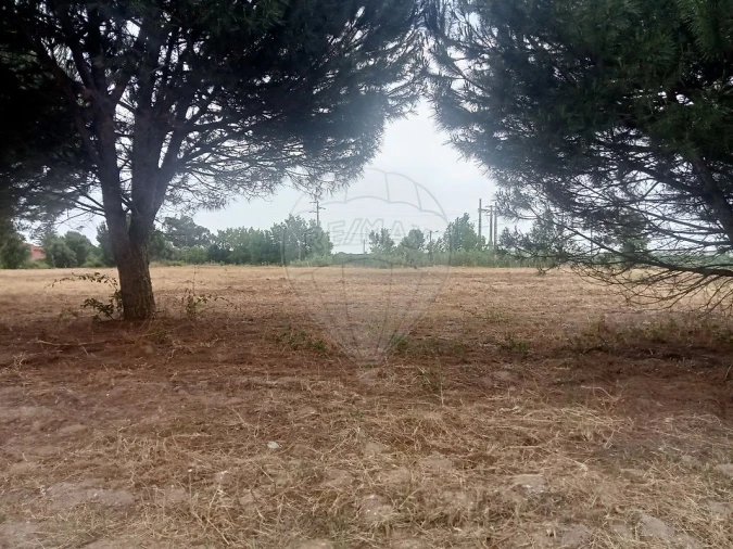 Terreno para Venda em Cartaxo e Vale da Pinta Foto 4