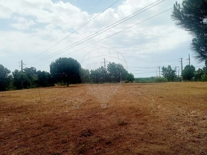 Terreno para Venda em Cartaxo e Vale da Pinta Foto 8