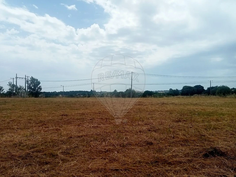 Terreno para Venda em Cartaxo e Vale da Pinta Foto 5