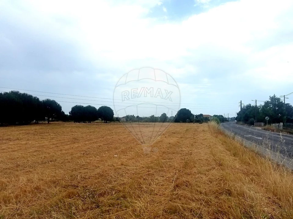 Terreno para Venda em Cartaxo e Vale da Pinta Foto 2