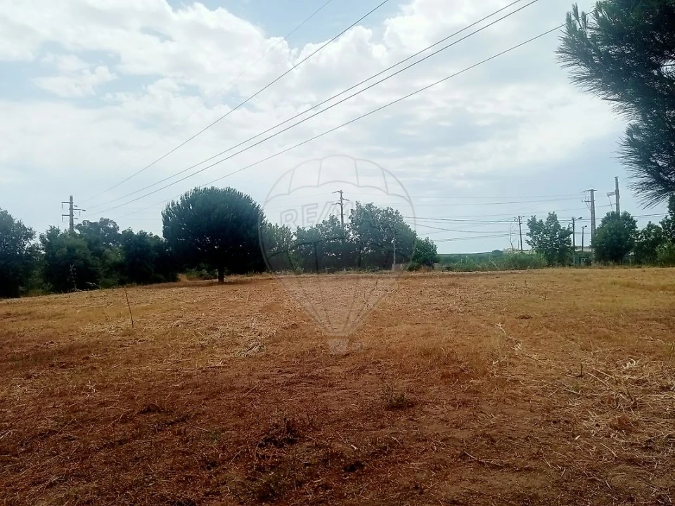 Terreno para Venda em Cartaxo e Vale da Pinta Foto 8