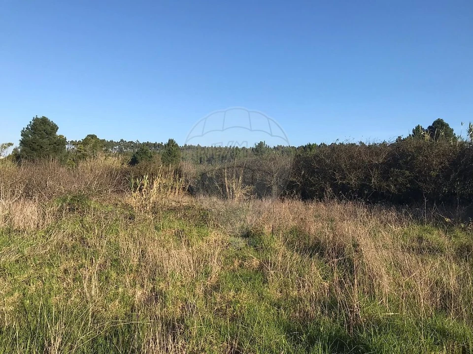 Terreno para Venda em Nossa Senhora do Pópulo, Coto e São Gregório Foto 3