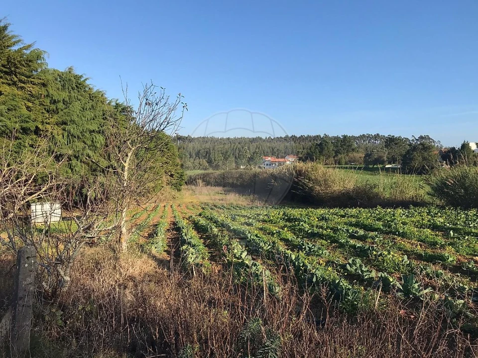 Terreno para Venda em Nossa Senhora do Pópulo, Coto e São Gregório Foto 1