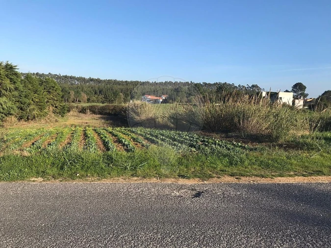 Terreno para Venda em Nossa Senhora do Pópulo, Coto e São Gregório Foto 2