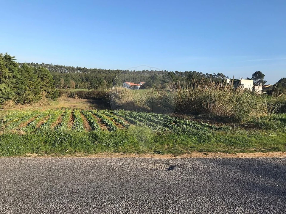 Terreno para Venda em Nossa Senhora do Pópulo, Coto e São Gregório Foto 2