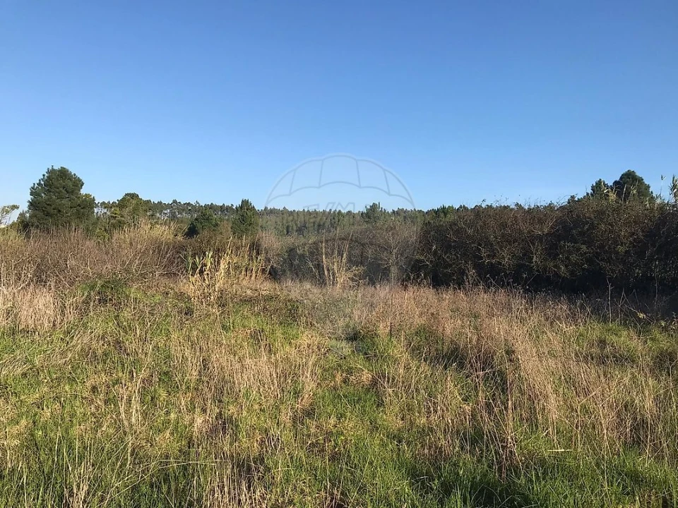Terreno para Venda em Nossa Senhora do Pópulo, Coto e São Gregório Foto 4