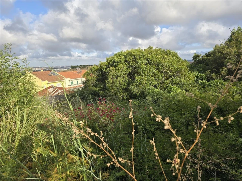 Terreno para Venda em Mina de Água Foto 10