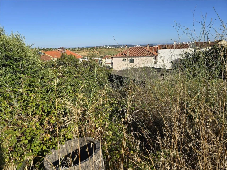 Terreno para Venda em Mina de Água Foto 7
