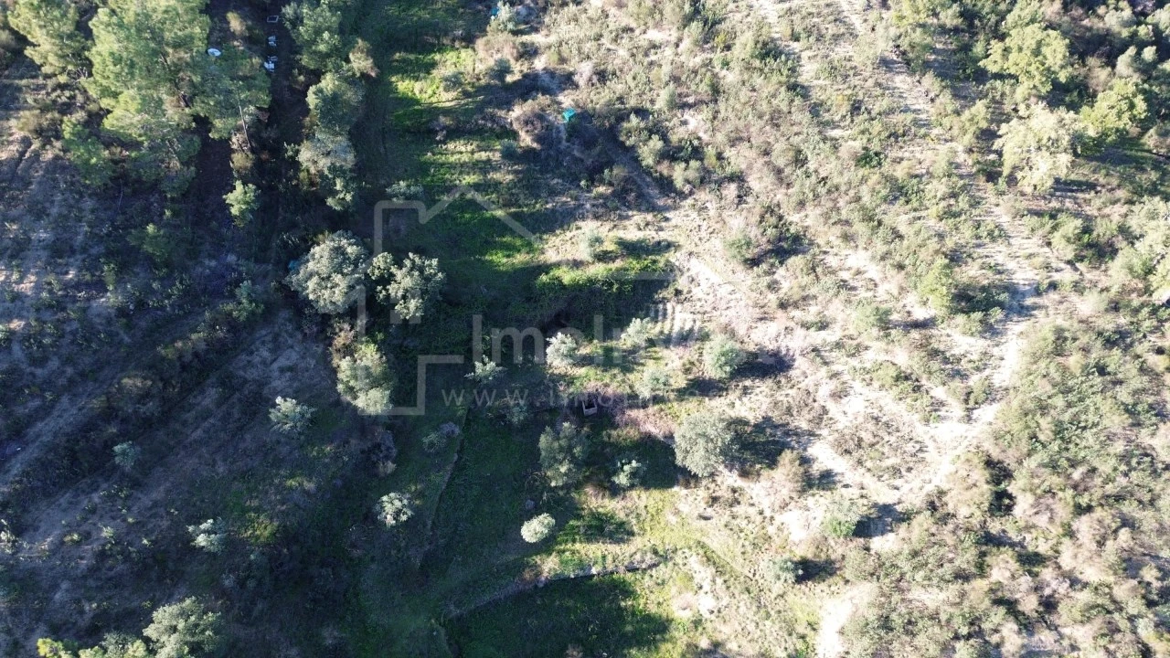 Terreno para Venda em Salgueiro do Campo Foto 4