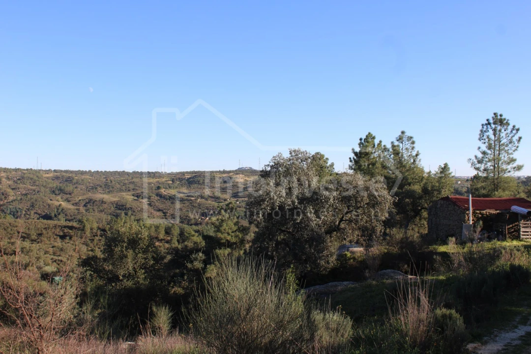Terreno para Venda em Salgueiro do Campo Foto 20
