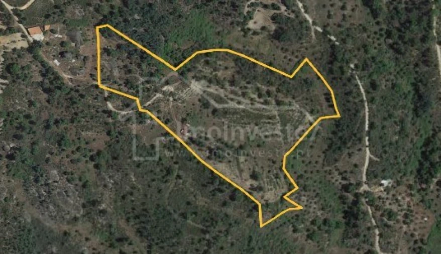 Terreno para Venda em Salgueiro do Campo Foto 1