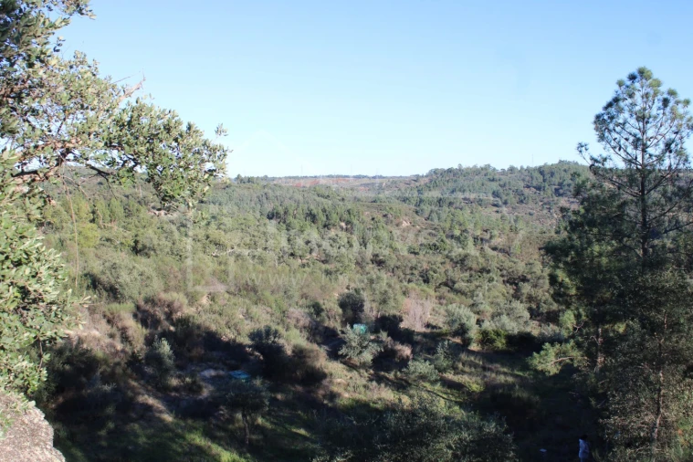 Terreno para Venda em Salgueiro do Campo Foto 18