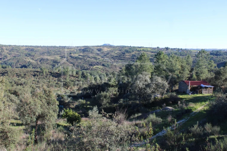 Terreno para Venda em Salgueiro do Campo Foto 21