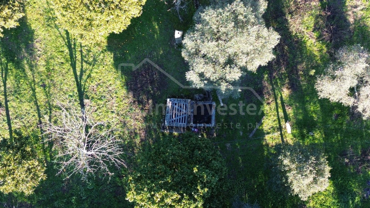 Terreno para Venda em Escalos de Baixo e Mata Foto 5