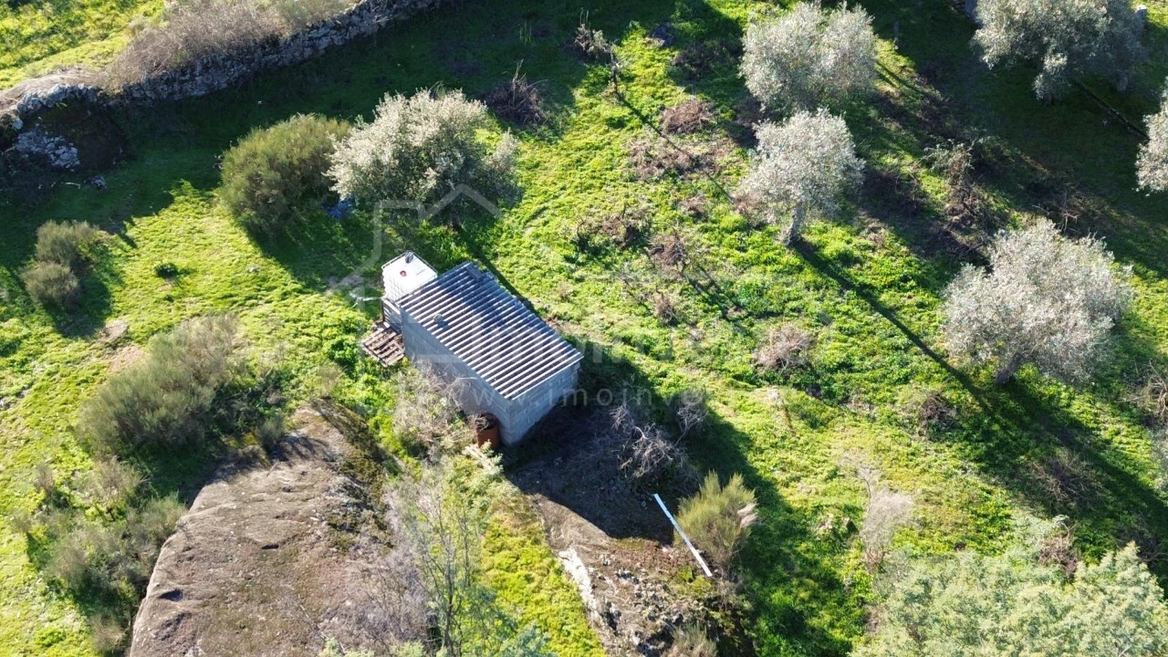Terreno para Venda em Escalos de Baixo e Mata Foto 11
