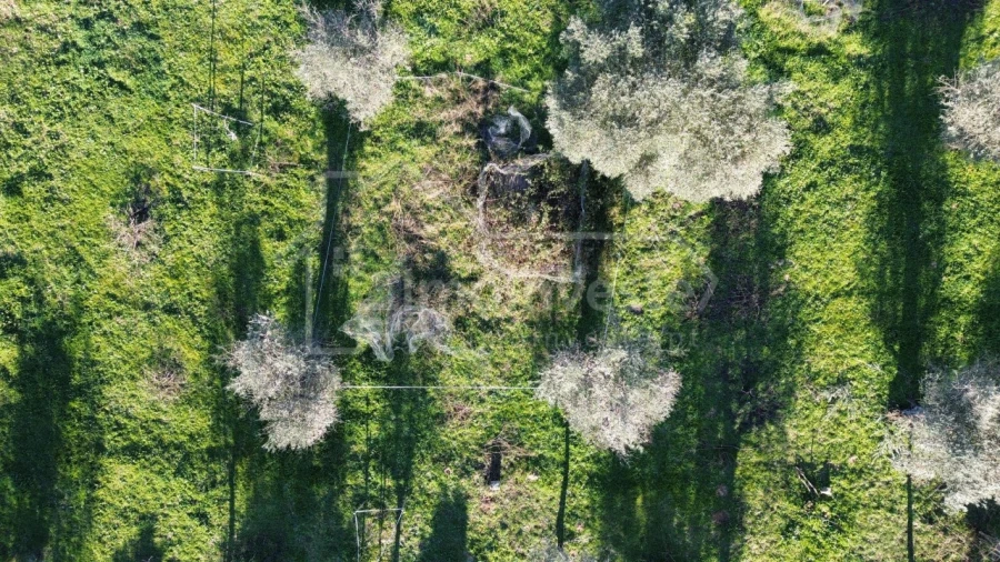 Terreno para Venda em Escalos de Baixo e Mata Foto 6