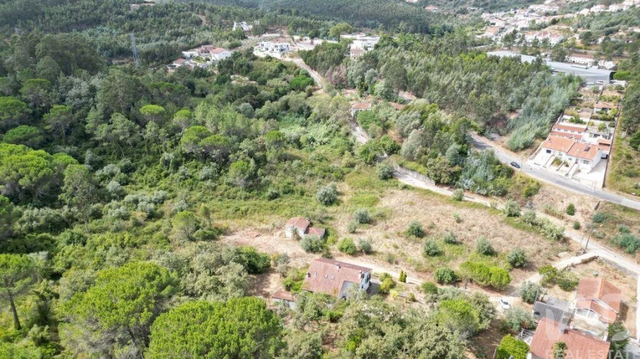 Terreno para Venda em Eiras e São Paulo de Frades Foto 8
