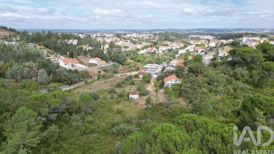 Terreno para Venda em Eiras e São Paulo de Frades Foto 7