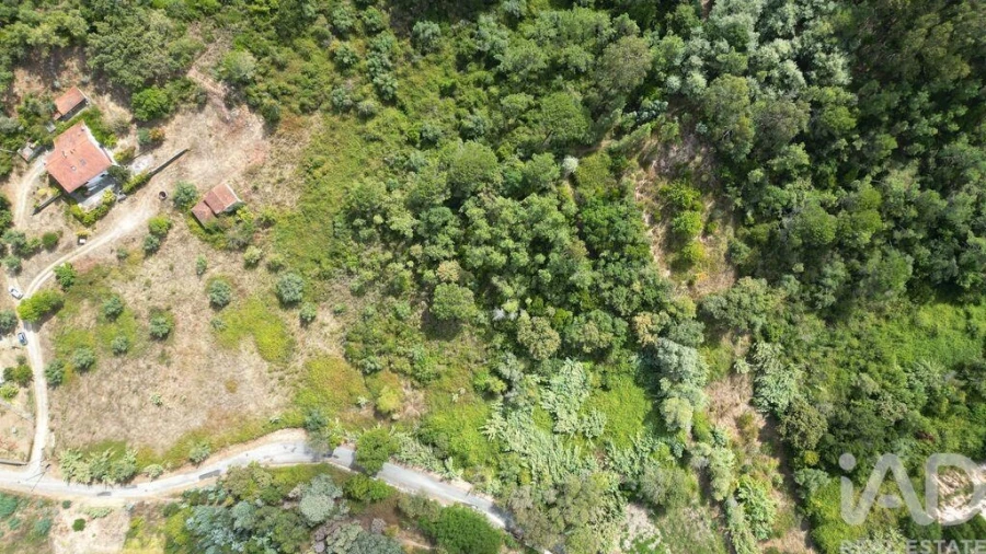 Terreno para Venda em Eiras e São Paulo de Frades Foto 9
