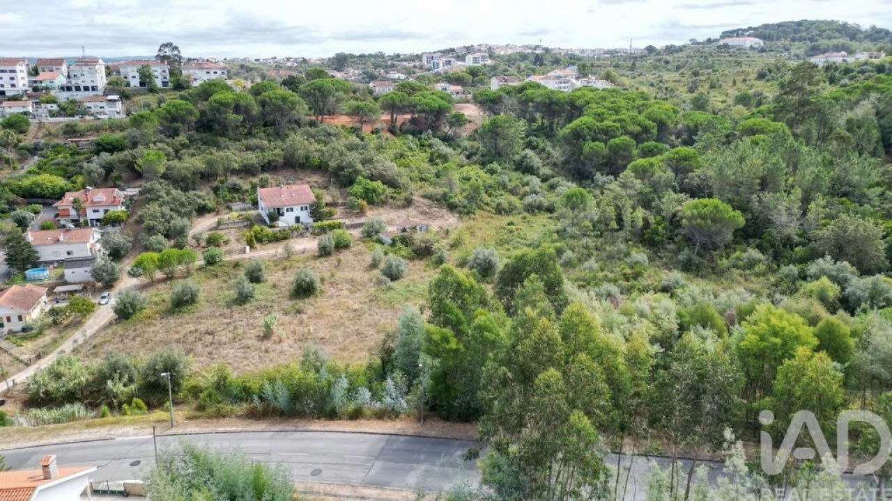Terreno para Venda em Eiras e São Paulo de Frades Foto 4