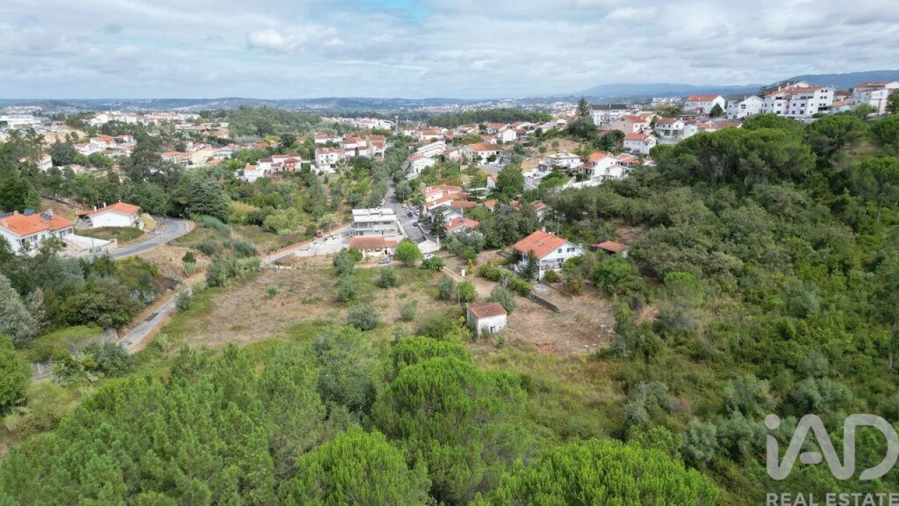 Terreno para Venda em Eiras e São Paulo de Frades Foto 6