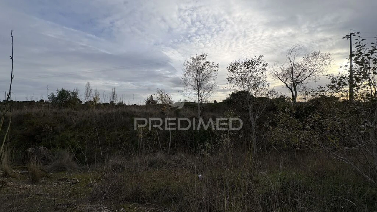 Terreno para Venda em Zibreira Foto 2