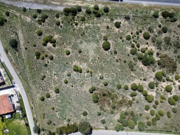 Terreno para Venda em Zibreira